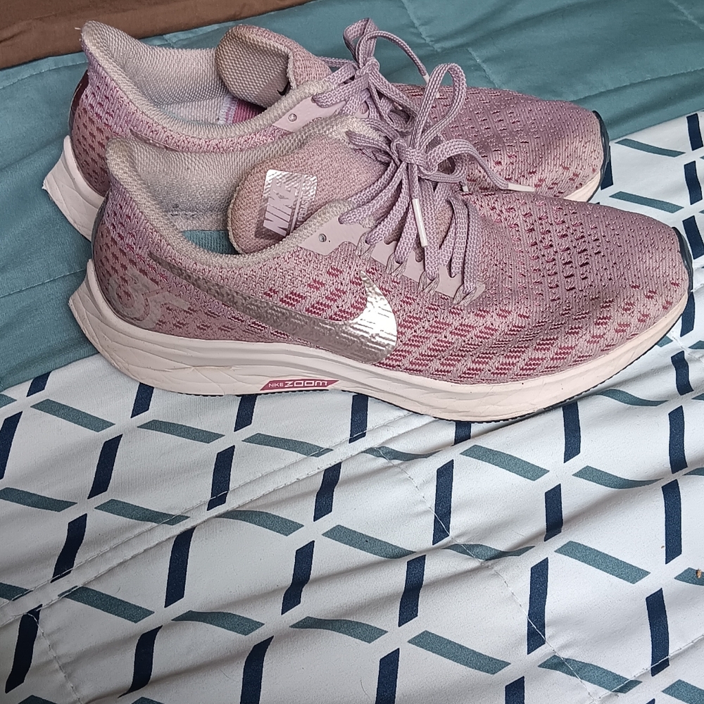 Nike zoom Pegasus